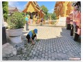 กิจกรรมรวมพลังสัปปายะสู่วัด (Big Cleaning Day) Image 7